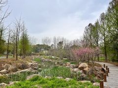 -同里国家湿地公园