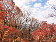 -罗田天堂寨风景区