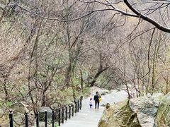 -王顺山国家森林公园