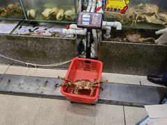 -蚝专家(北滘店)