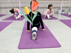 -舞蕾舞蹈(特长生校区)