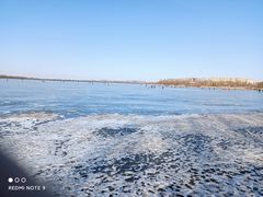 -丁香湖公园