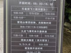 -西双版纳原始森林公园