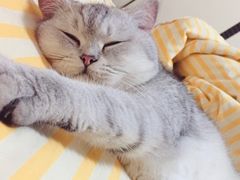 -北京恒爱动物医院(清景园分院)