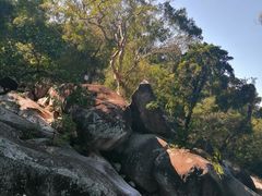 -海南霸王岭国家森林公园
