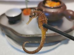 海马养生功夫汤-鹏湾.壹号