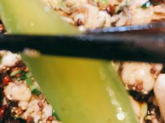 -百岁鱼(七一路店)