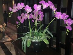 -薇爱精品时尚酒店(吴中店)