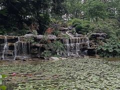 -东莞植物园