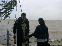 -湖鲜楼