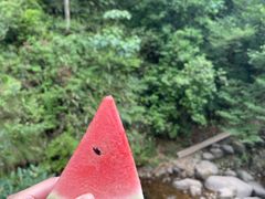 -大奇山国家森林公园