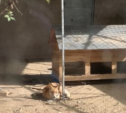 -萌宠亲子动物乐园(槐房万达店)