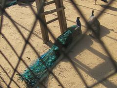 外景-月亮河温泉度假酒店