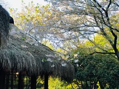 -中国茶叶博物馆(双峰馆区)