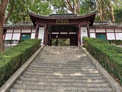 -上海佘山国家森林公园天马山园