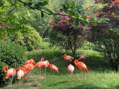 -青岛森林野生动物世界