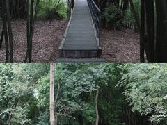 -鹿野苑石刻艺术博物馆