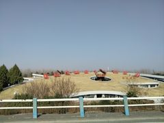 -合肥滨湖国家森林公园