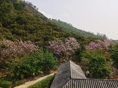 -小南山公园