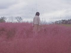 -白鹭湾湿地公园