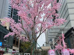 -首开·龙湖成都西宸天街