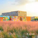 春天必不可少的带宝宝去春游，想好去哪里来吗？