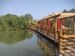 -大湾区中央湿地公园