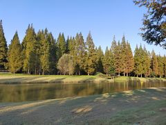 -黄海国家森林公园