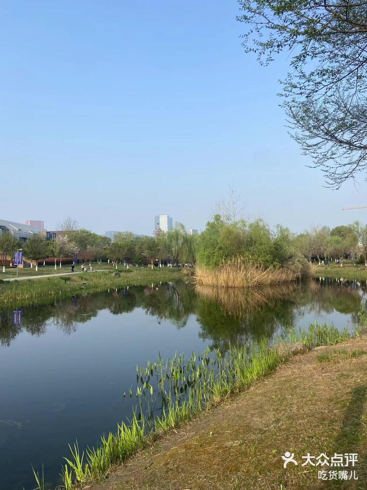 临平东湖公园春光无限