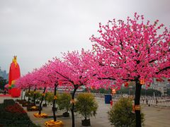 -南宁国际会展中心(会展东博文化旅游区)