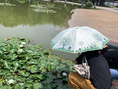 -上海第二工业大学(金海路校区)