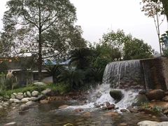 -成飞公园