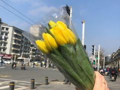 -循礼门鲜花花市(武汉循礼门店)