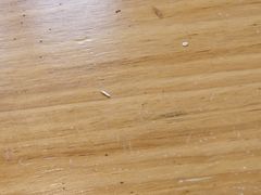 -亿牌牌东北烧烤(怀特店)
