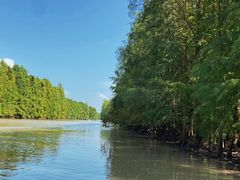 -上海海湾国家森林公园