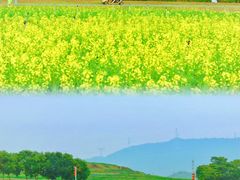 -光明小镇欢乐田园