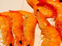 -长沙北辰洲际酒店-兰调全日餐厅