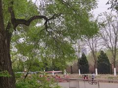 -永定河休闲森林公园