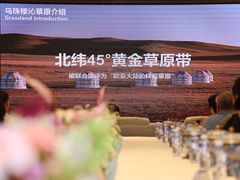 -牛街·马辈儿涮肉(牛街总店)