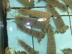 -渔民新村(番禺总店)