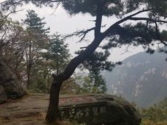 -庐山风景区花径公园