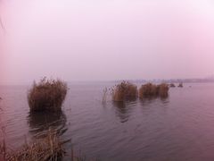 -南湖国家城市湿地公园