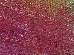 -文叔·湖北名小吃·小龙虾(华强北店)