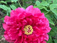 -江南大学(蠡湖校区)