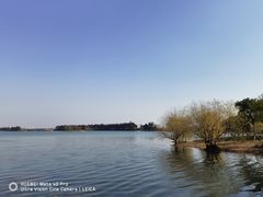 -贡湖湾湿地公园