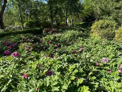 -燕郊植物园