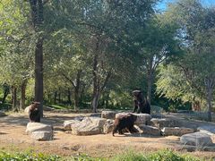 -北京野生动物园