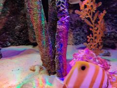 -沈阳海洋探索中心