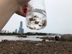 -青岛第二海水浴场