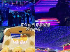 -海合安青岛极地海洋公园